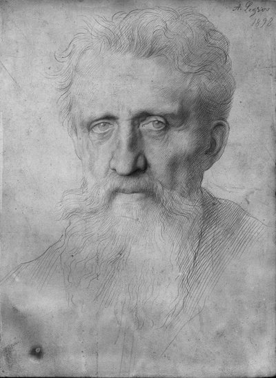 Testa di un uomo con lunga barba, 1898 da Alphonse Legros