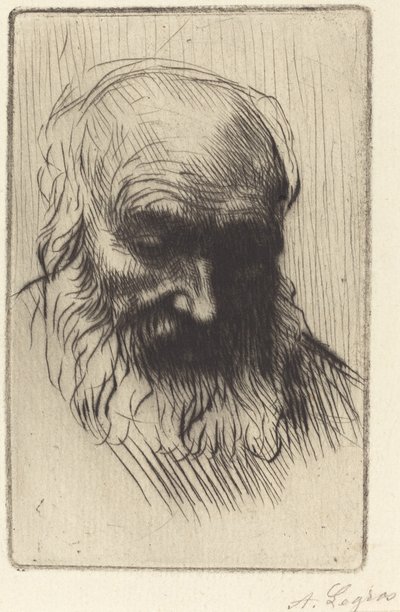 Testa di un vecchio (studio) da Alphonse Legros