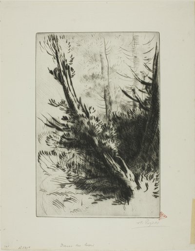 Nel bosco da Alphonse Legros