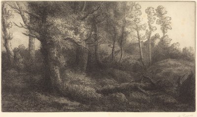  da Alphonse Legros