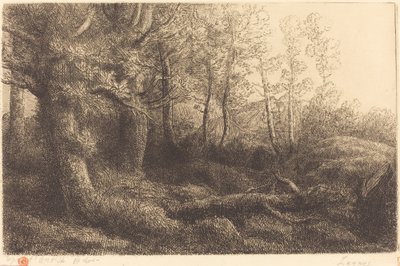 Nella foresta da Alphonse Legros