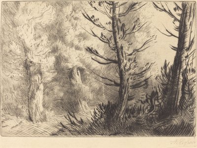 Nella foresta di Fontainebleau da Alphonse Legros