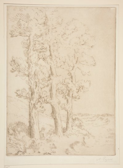 La lettrice: La lezione sotto gli alberi da Alphonse Legros