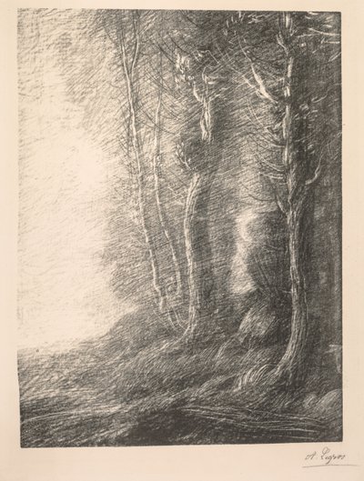 Paesaggio (Paysage) da Alphonse Legros