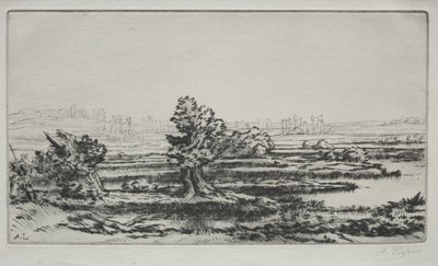 Paesaggio da Alphonse Legros