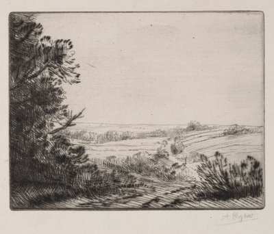 Paesaggio da Alphonse Legros