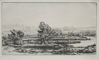 Paesaggio da Alphonse Legros