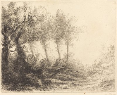 Paesaggio da Alphonse Legros