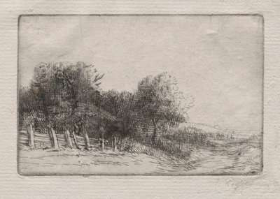 Paesaggio da Alphonse Legros