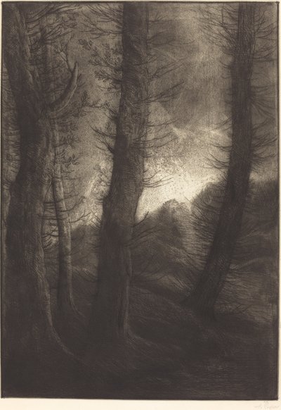 Grandi alberi visti contro il sole da Alphonse Legros