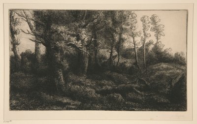 Lisiere de Foret da Alphonse Legros