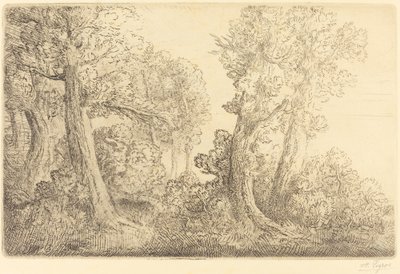 Vicino ai boschi, Veronne da Alphonse Legros