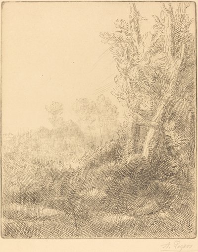 Vecchio villaggio da Alphonse Legros