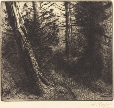 Sentiero nel bosco da Alphonse Legros