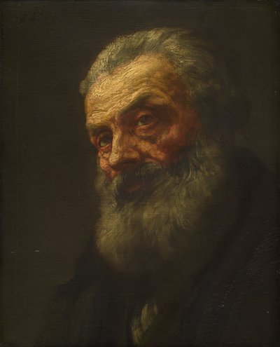 Ritratto di un vecchio, fine XIX-inizio XX secolo da Alphonse Legros