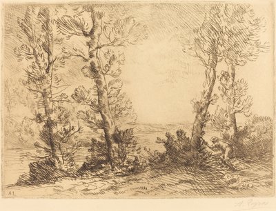 Pescatore di salmoni Le pecheur du saumon da Alphonse Legros