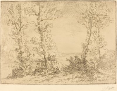 Pescatore di salmoni da Alphonse Legros
