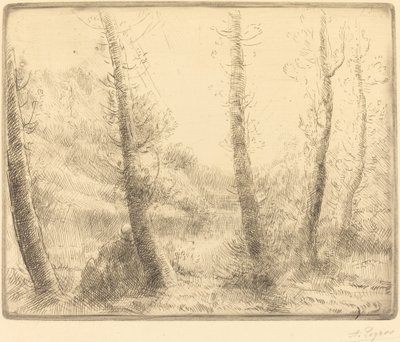 Piccolo lago da Alphonse Legros