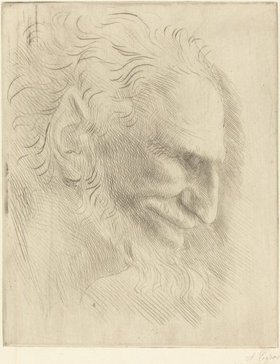 Studio per la testa di un uomo da Alphonse Legros