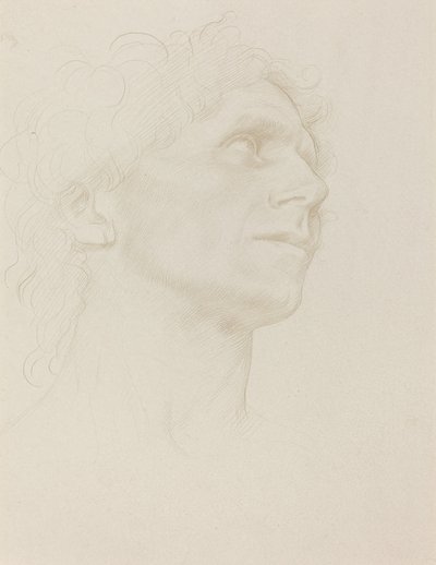 Studio della testa di una donna, girata a destra da Alphonse Legros