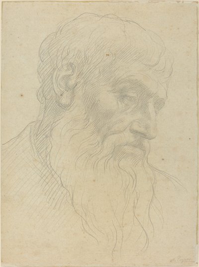 Studio di una testa da Alphonse Legros
