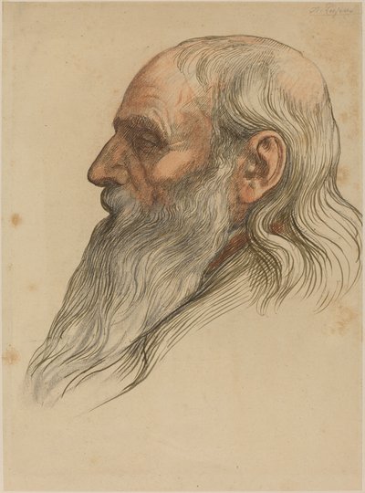 Studio della testa di un uomo con barba folta da Alphonse Legros