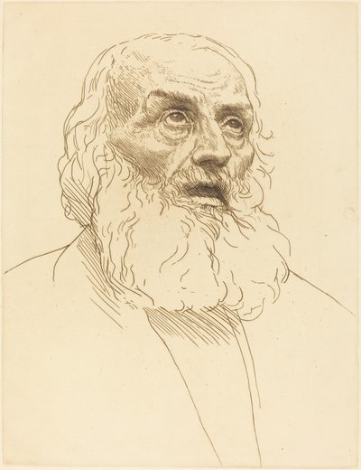 Studio di un vecchio da Alphonse Legros