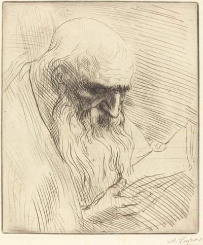 Studio della testa di un uomo che legge da Alphonse Legros