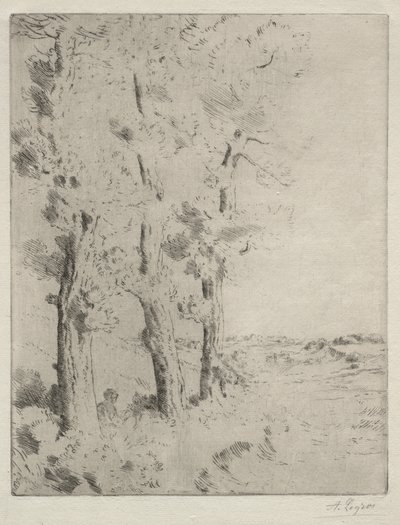 Il Lettore: La Lezione sotto gli Alberi da Alphonse Legros