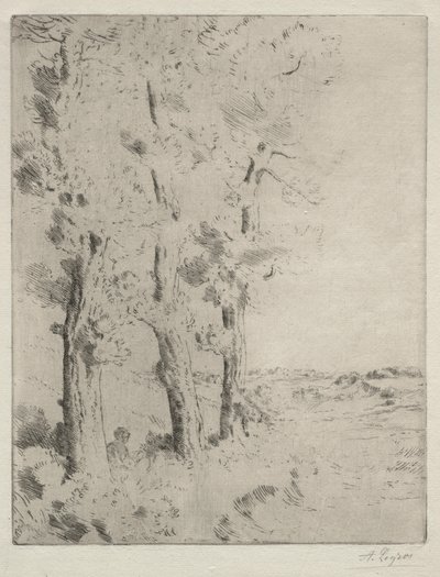 Il Lettore: La lezione sotto gli alberi, c. 1882 da Alphonse Legros
