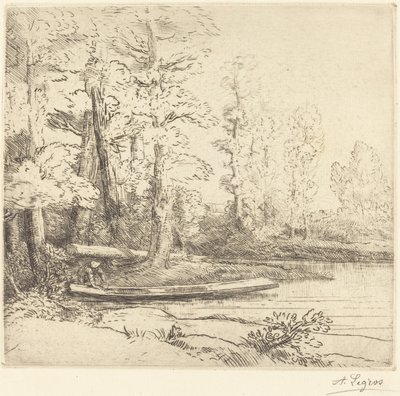Alberi al bordo dell