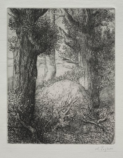 Tumulo gallico da Alphonse Legros