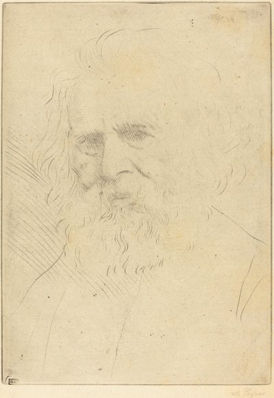 W.H. Longfellow, 1° piastra da Alphonse Legros