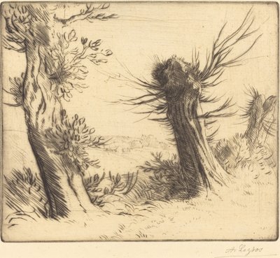 Salici (Les saules) da Alphonse Legros