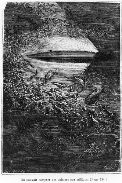 Illustrazione da 