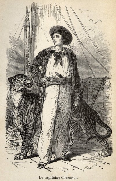 Illustrazione delle "Meravigliose ma autentiche avventure del Capitano Corcoran" di Alfred Assollant, illustrato con 25 vignette disegnate su legno da A. de Neuville, Librairie Hachette et Cie a Parigi da Alphonse Marie de Neuville