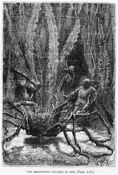 Il Granchio Ragno, illustrazione da 