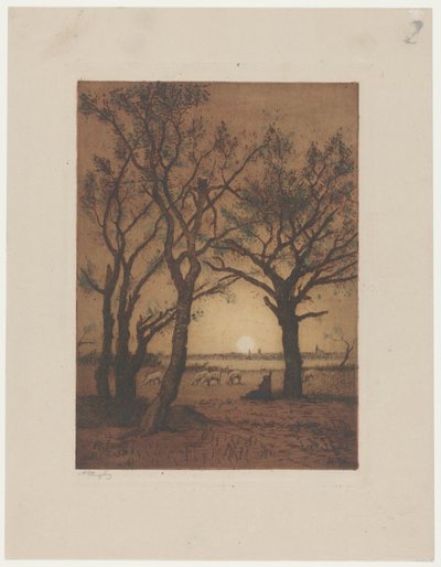 Paesaggio con pecore al tramonto da Alphonse Stengelin (signed by artist)