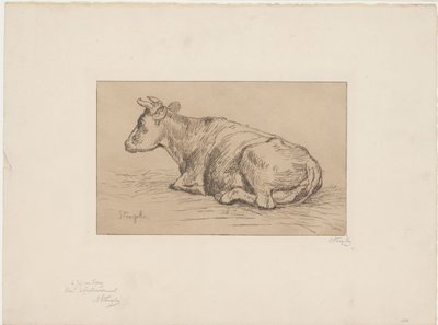 Mucca sdraiata da Alphonse Stengelin (signed by artist)