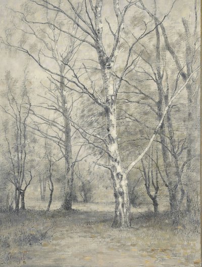 Bosco con betulle da Alphonse Stengelin