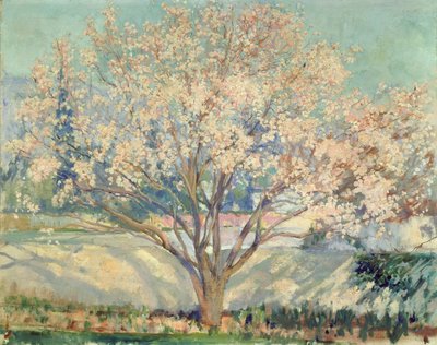 Mandorlo in fiore da Alson Skinner Clark