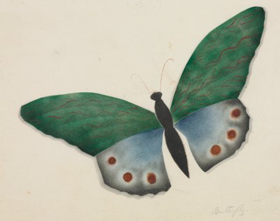 Farfalla (acquerello) da Altha Mary Nims