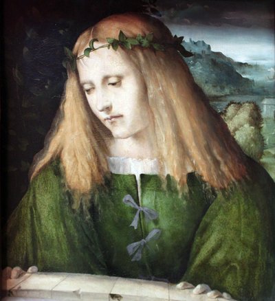 Narciso alla fontana da Altobello Melone