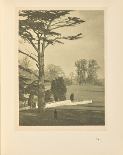 Il bordo del giardino da Alvin Langdon Coburn