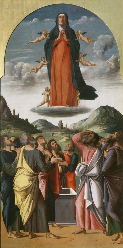 Assunzione della Vergine da Alvise Vivarini