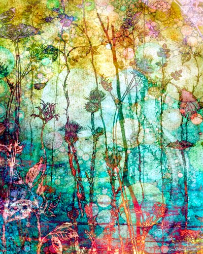 Un ricco arazzo (caldo), 2014 da AlyZen Moonshadow