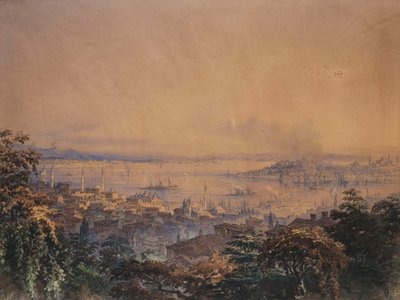 Una vista di Costantinopoli, 1866 da Amadeo Preziosi