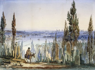 Costantinopoli da Eyub da Amadeo Preziosi