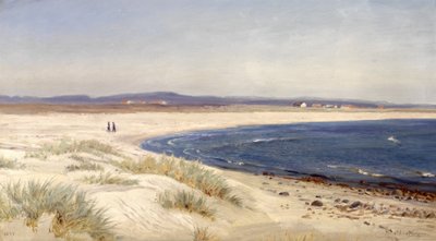 Norvegese:  Mennesker på en strand Persone su una spiaggia da Amaldus Nielsen