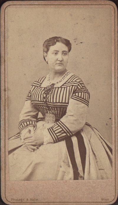 Ritratto della cantante d